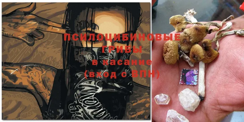 Галлюциногенные грибы Magic Shrooms  хочу   Пушкино 